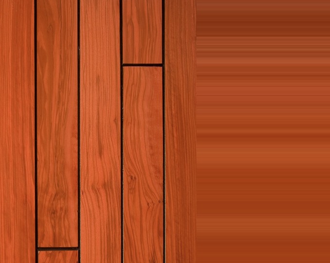 Orange 1