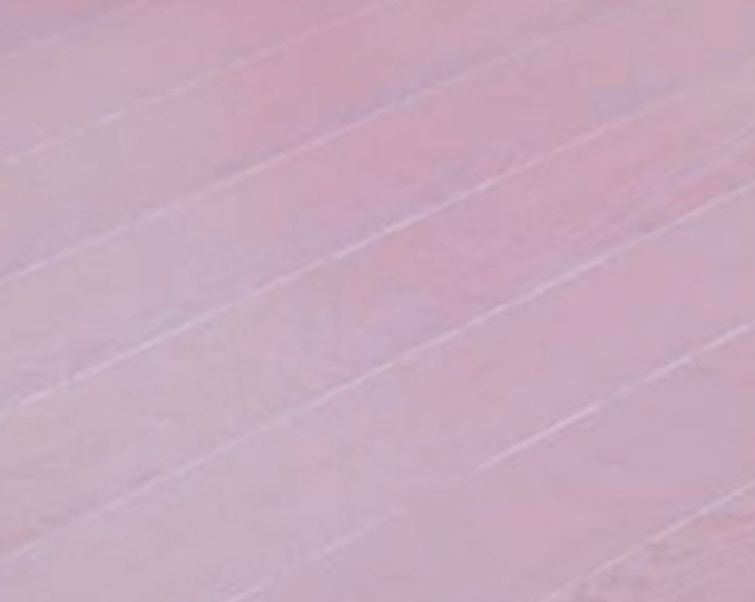 Pink top